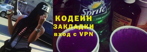 прущие грибы Заволжск