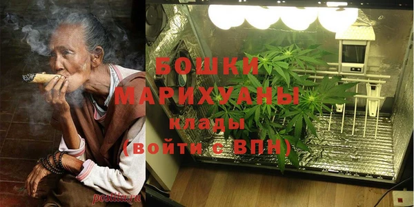 прущие грибы Заволжск