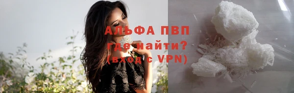 прущие грибы Заволжск