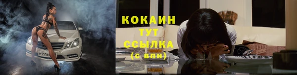 прущие грибы Заволжск