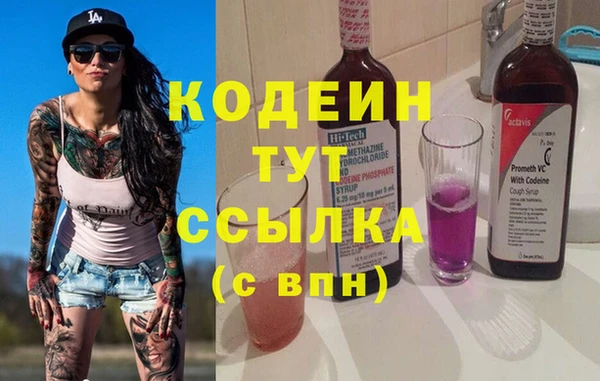 прущие грибы Заволжск