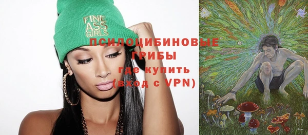 прущие грибы Заволжск