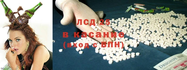 прущие грибы Заволжск