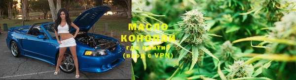 прущие грибы Заволжск