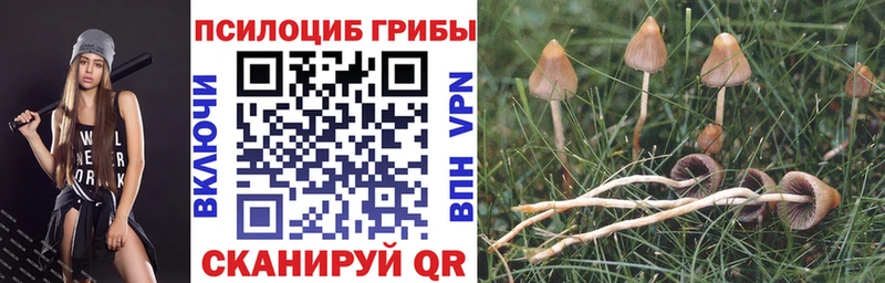 Галлюциногенные грибы ЛСД  Купить закладки  Рассказово 